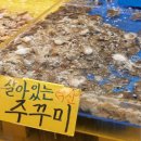 참맛종합식품 | [1월제철음식]주꾸미의 제철은 봄이 아니다. 겨울이 제철이다.