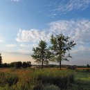 세보한의원 이미지