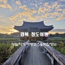 다뷰스튜디오 | [대근 근교 가볼 만한 곳] 청도 당일치기 여행 코스 &맛집 정보