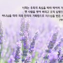 성구