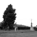 어은초등학교 이미지