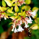 종수목장 이미지