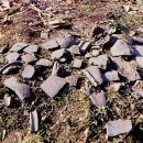 서울사당초등학교 이미지