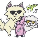 눈사랑안경 이미지