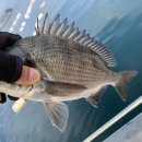 유촌1호 이미지