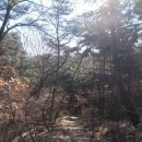 성철목장 이미지