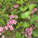 64공인중개사사무소 이미지