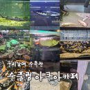 경춘북로 | [리뷰] 구리가볼만한곳 수풀림 아쿠아카페 이색데이트 후기