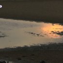 고향참숯구이 | 6시 내고향 전북 고창 풍천장어 맛집 ‘작은 항구’ 완벽 리뷰 – 참숯 직화의 깊은 풍미