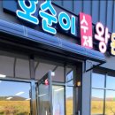호순이수제왕돈가스