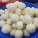 (주)엠제이푸드 이미지
