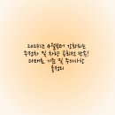 주정차 단속 - 001 이미지