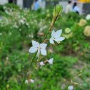 (주)온머리드림넷 이미지