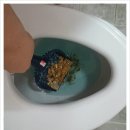 에스에스유통 | 변기뚫는방법 간단해요! 최고의 뚫어뻥~! 에스에스유통 푸시뻥 추천합니다!!