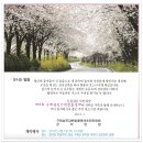 Re:제9회 섬진강 벚꽃 축제에 초대합니다.(4월 6일~8일) 이미지