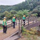 서운산자연휴양림 이미지