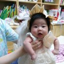 목마송이 이미지