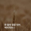 밀알 이미지