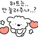 엠에스렌트 이미지