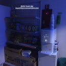 위드 플스방 이미지