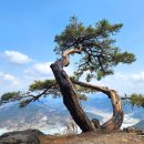 1월 24일 토요당일 -＜숨겨진우리산＞- 진주 월아산+청곡사 신청안내(28인승/31인승) 이미지