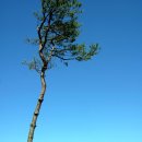 현철농장 이미지