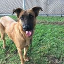 가족이랑개 이미지