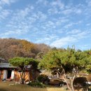 학골사랑방 이미지