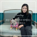 아이조아펫파크 동탄점 | 사지 말고 입양해 주세요 | 아이조아펫파크 동탄점