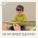 책이랑 영어랑 | 5살 영어책 잉글리시에그 디에그 옐로우 영어노출 후기
