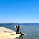 블루마운틴 이미지