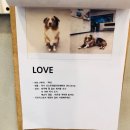 오르치그로치 이미지