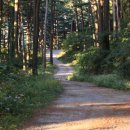 숲향기 목공방 이미지