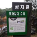 선흘1리보건진료소 이미지