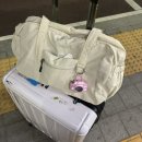 비조 | [소비] 슈펜 경량 디링 비조 더플백 아이보리 추천 후기