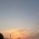 반포한강공원 뷰 레스토랑 : 마리나파크 레스토랑&amp;카페 / 반려견, 주차장 정보 등 내돈내산 후기