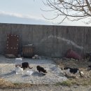 호도마을회관 이미지