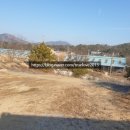 상록원 사슴농장 이미지