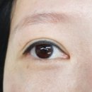 다올아카데미 | 강남속눈썹연장 다올래쉬 후기