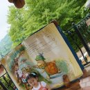 이솝하우스 이미지