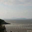 증도면보건지소 네이버블로그