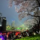 고분 | 부산 온천천 연제고분판타지축제 후기 5일까지 가볼만한 봄 축제