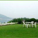 미스타페오 이미지