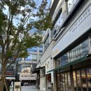 송도교집 | [송도 냉삼 맛집]한돈 냉삼 '송도교집' 후기(내돈내산)