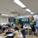 용전초 이미지