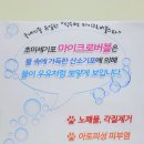 강남고양이미용 맞춤 미용과 프리미엄 힐링스파 전문 고양이미용실 블랙스완 소개해요