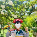 샘터유치원 이미지