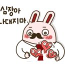 당당하개 이미지