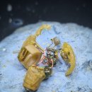 한음보청기 이미지