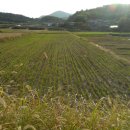 곡성-137 이미지